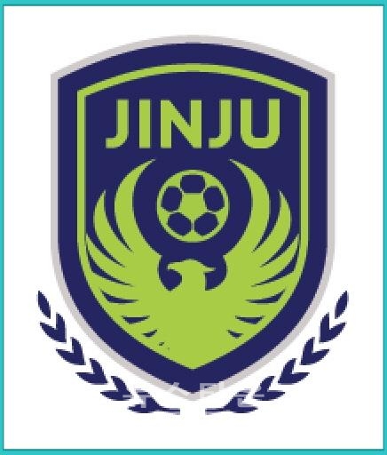 진주시민축구단 엠블럼