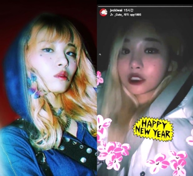 (사진 : 재키와이 인스타그램)
