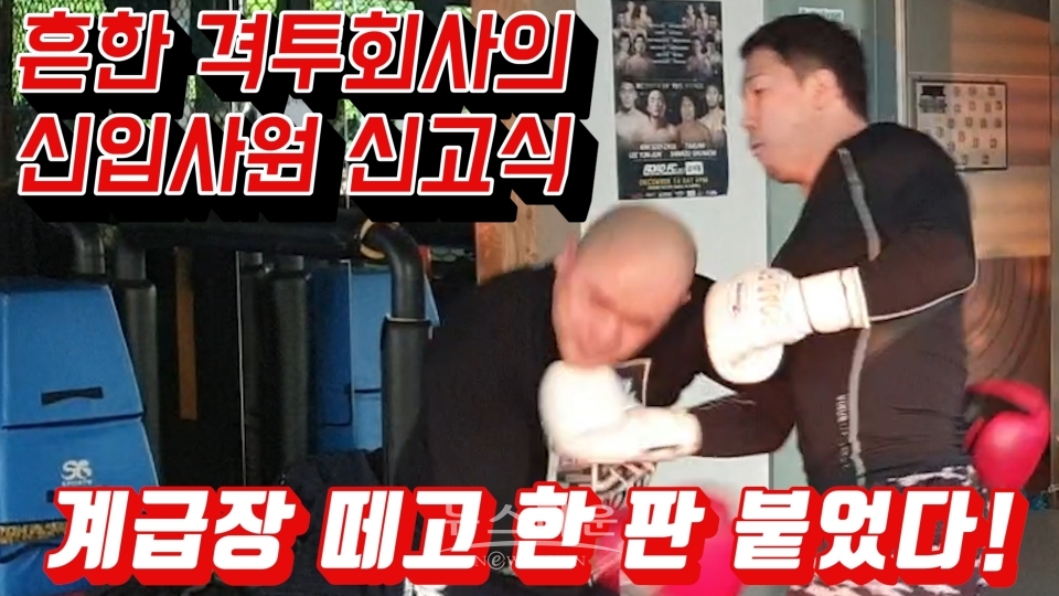 격투기 회사 신입사원 신고식 / 고득용기자 ⓒ뉴스타운