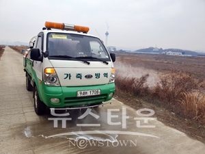 곡교천(고위험) 방역활동
