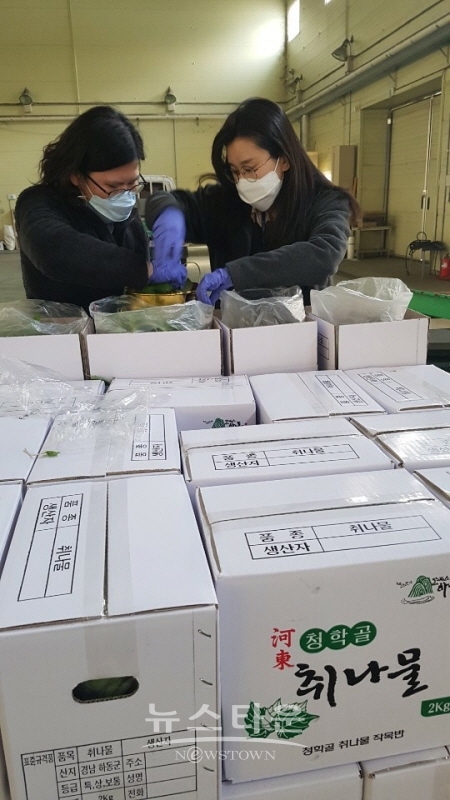 생취나물을 검역하고 있는 모습