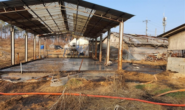 가축분뇨 부적정 관리 적발 모습