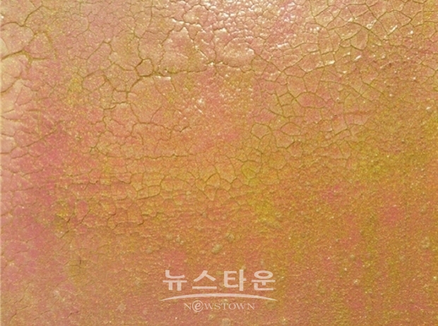 제16회 이순선 문화이야기(김한정 기자)