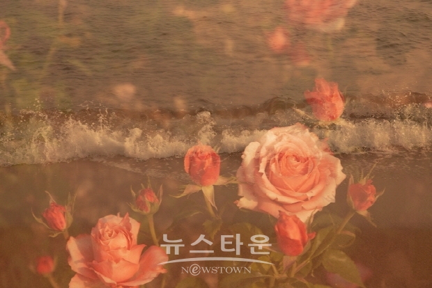 이정미 사진작가의 ‘아름다운 동행’ 전(김한정 기자)