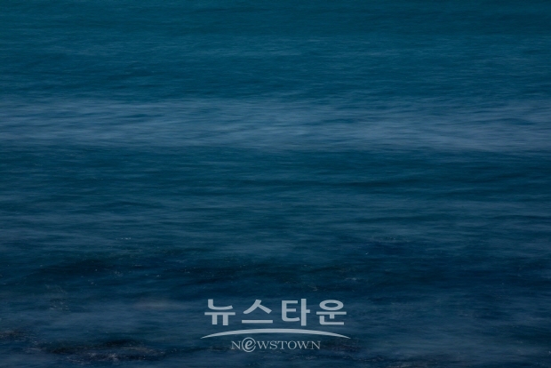 이정미 사진작가의 ‘아름다운 동행’ 전(김한정 기자)