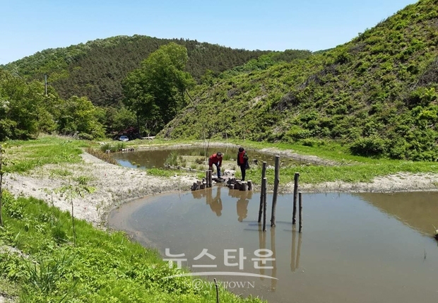 아산시 송악면 동화3리 반딧불이 생태습지