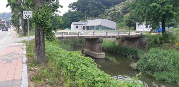 청룡천