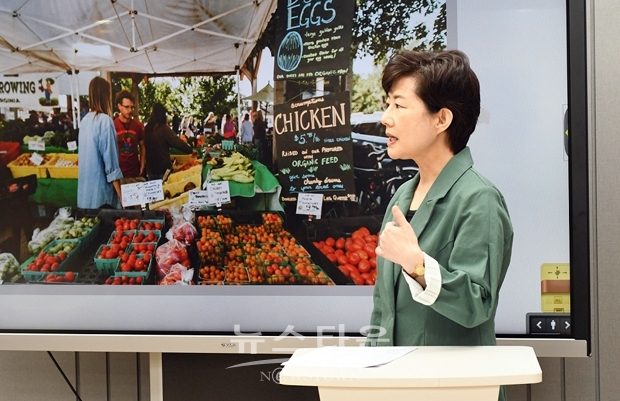 세종사이버대학교 국제학과