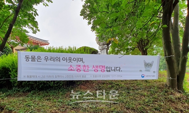 반려동물 캠페인(남산공원)