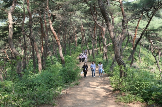 마곡사 솔바람길