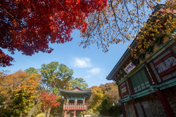갑사