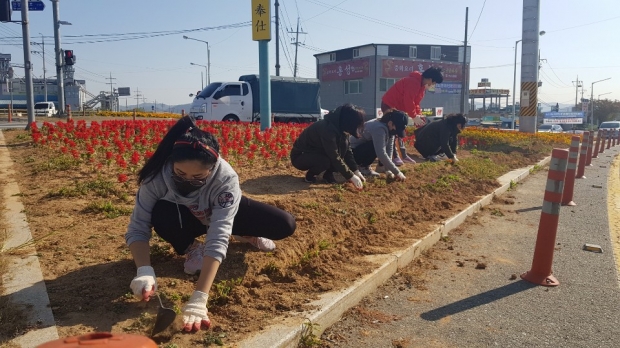 공공근로 사진