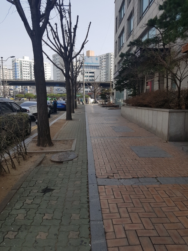 개선후 화단, 그러나 식물의 식재가 이뤄져야 할 것으로 보이다.