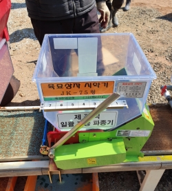 육묘상처리제 파종동시 처리를 하고 있다.