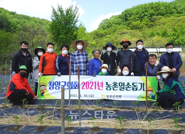 청양군의회 농촌일손돕기(고추심기)