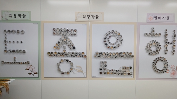 경기도토종종저운행 장식 사진