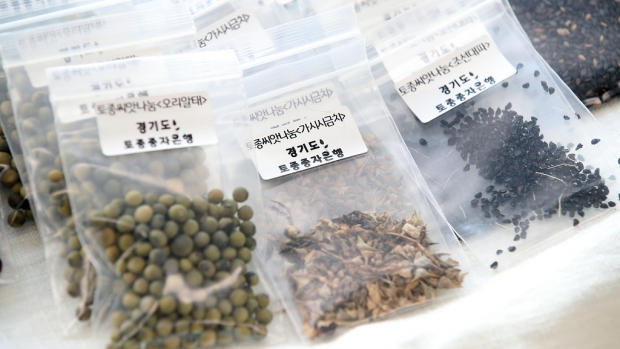 토종종자은행의 토종종자들 사진