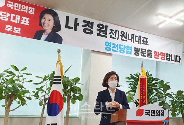 국민의힘 나경원 전 원내대표
