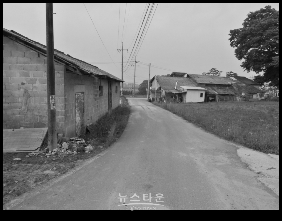 흑백사진으로 본 농촌아침
