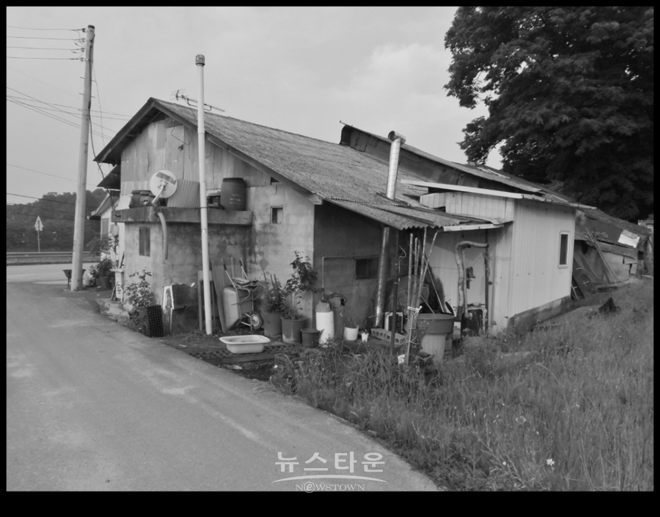 흑백사진으로 본 농촌아침