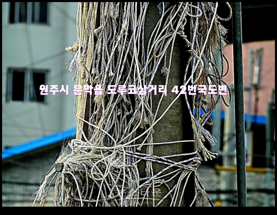 불법광고물의 잔해 “이거 너무한 것 아냐?”