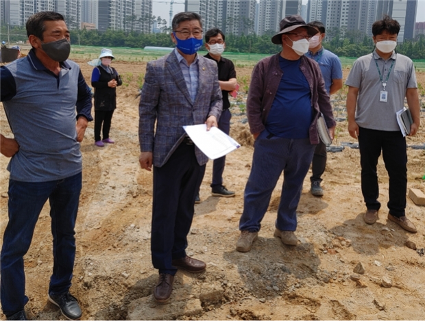 성토지 현장보고회 사진