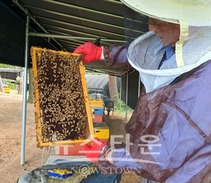 양봉사양관리 실습 및 컨설팅 추진