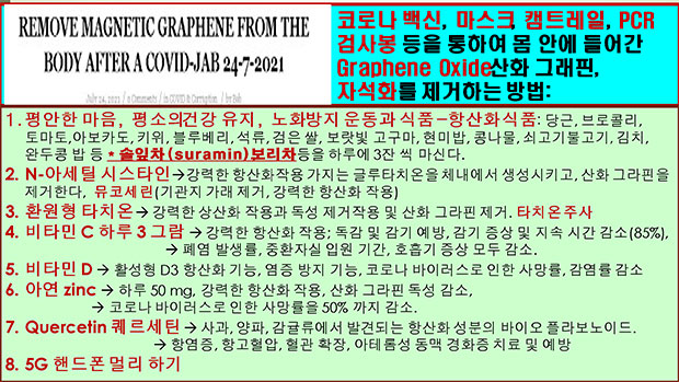 표 2-2: 코로나 백신이나 마스크, 캠 트레일, PCR 검사봉 등을 통해 몸 안으로 들어온 산화 그래핀을 제거하는 방법을 소개한 스페인의 발표 내용을 요약하고 보충한 표