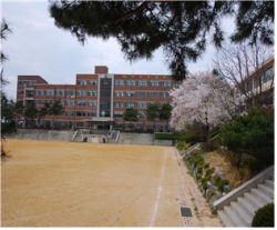 도림동 도림고이전 부지 전경