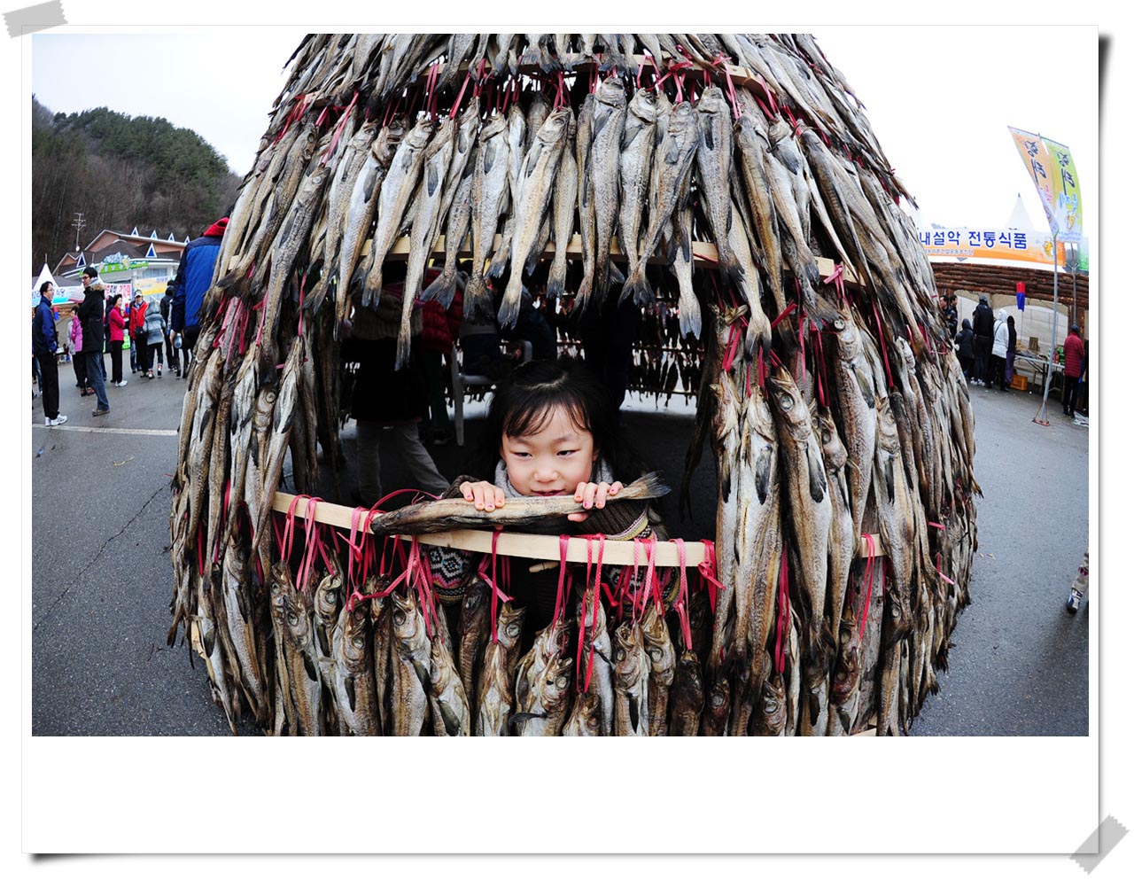 2010년 인제 황태축제
