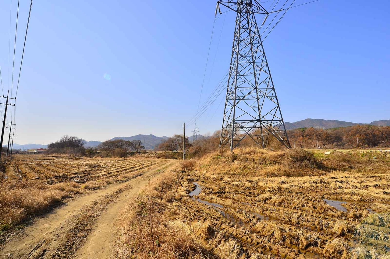 문막읍 반계리 저류지 관리부실- 탁상행정의 표본