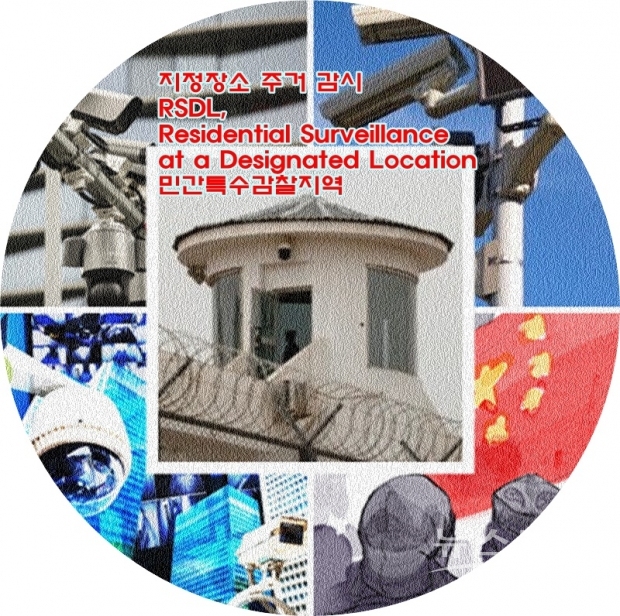 인권 감시단체 세이프가드 디펜더스 공동 성립자인 마이클 캐스터(Michael Caster)는 “이러한 세간의 이목을 끄는 사건들은 분명 많은 관심을 끌지만, 투명성이 없다는 사실을 훼손해서는 안 된다”면서 “사용 가능한 데이터를 수집하고, 동향을 분석하면, RSDL 시스템에서만 매년 4~5,000명이 사라지는 것으로 추산된다”고 말했다.