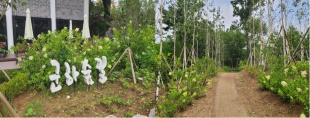 산림치유프로그램
