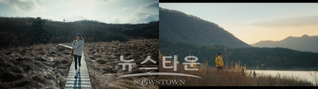 사진제공: 디스커버리 채널 코리아&SKY채널, 잠적