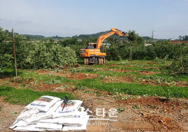 과수화상병 매몰 처리