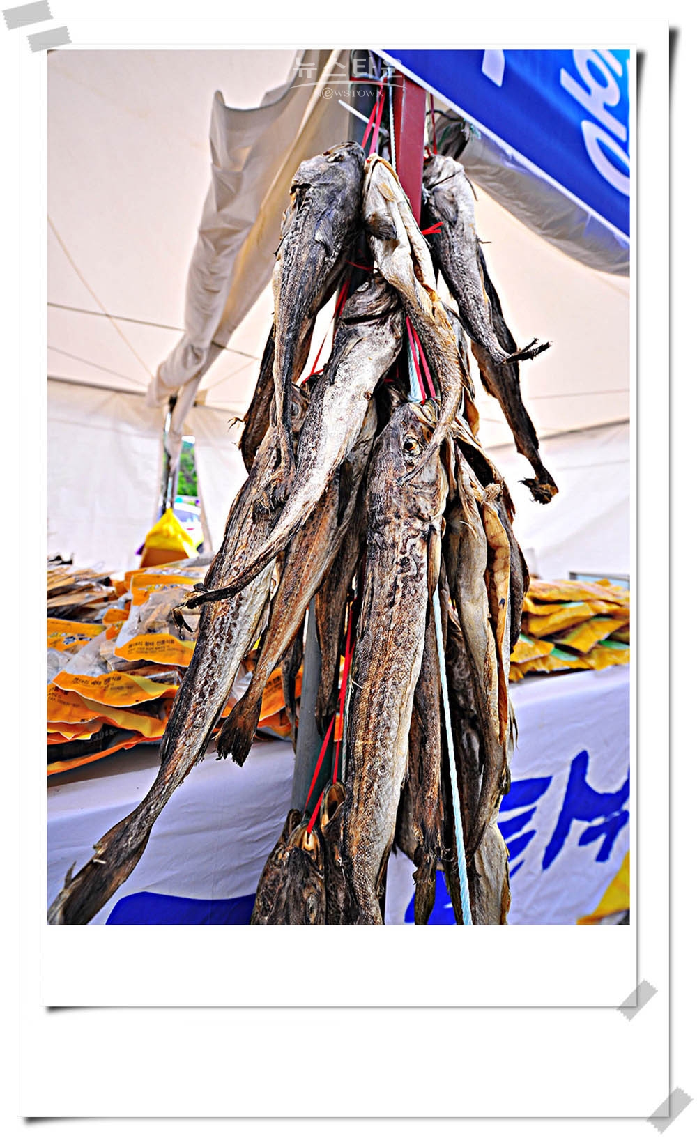용대리황태축제 20회 자료사진