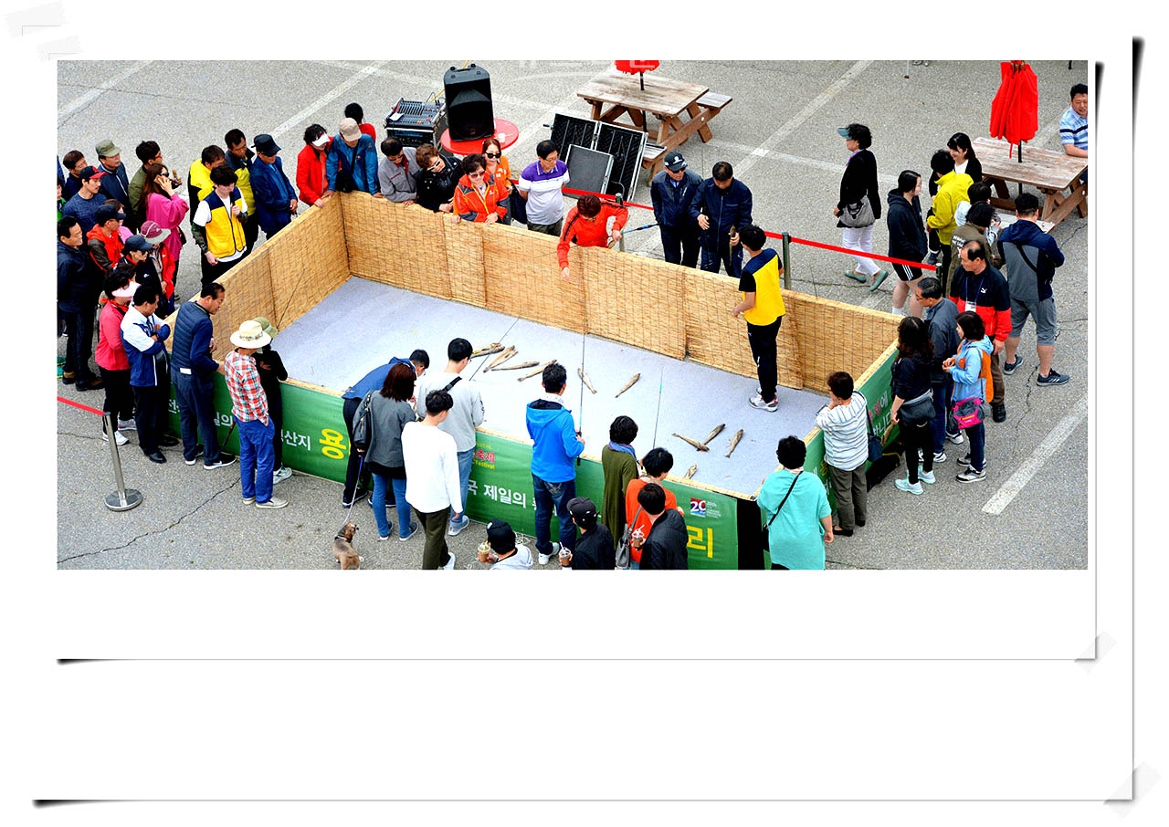용대리황태축제 20회 자료사진