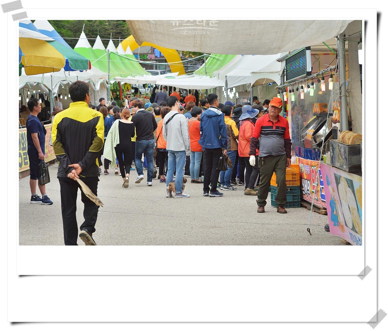 용대리황태축제 20회 자료사진