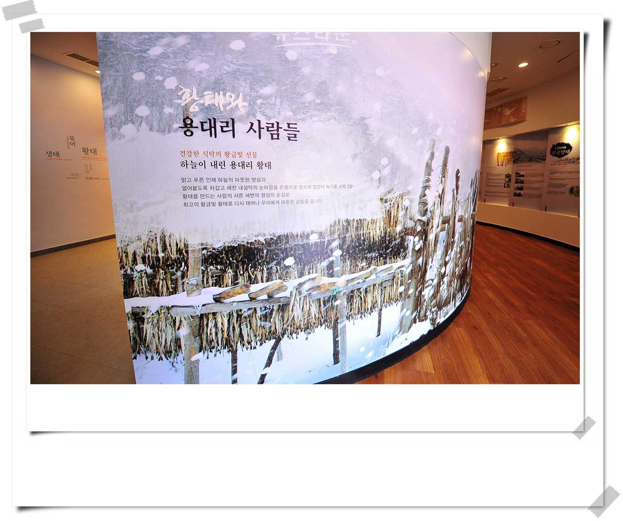 용대리황태축제 20회 자료사진