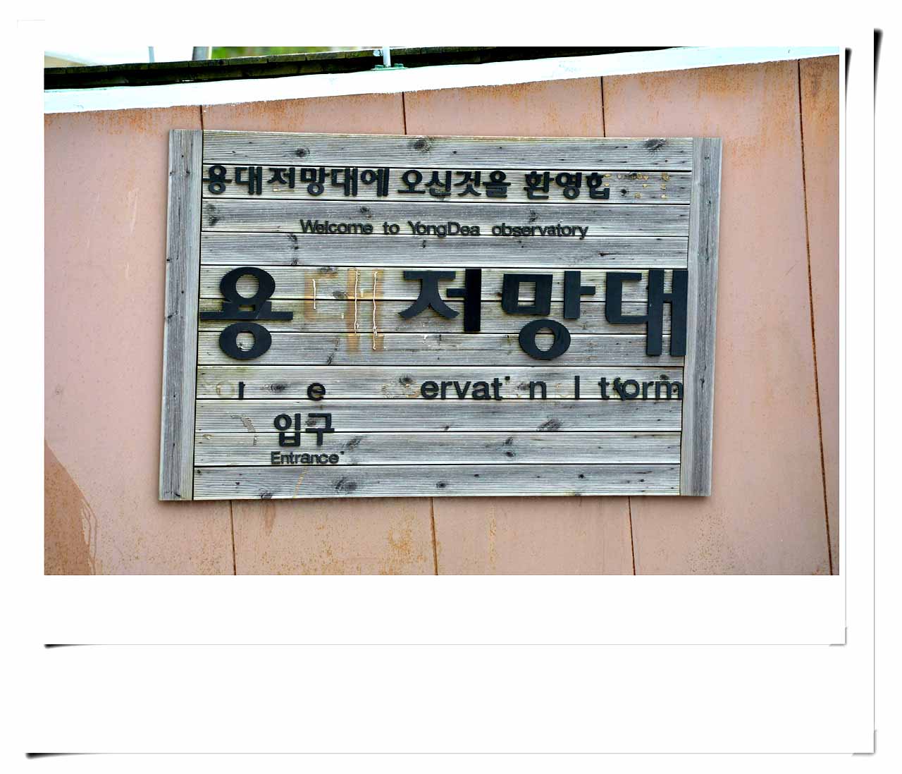용대리황태축제 20회 자료사진