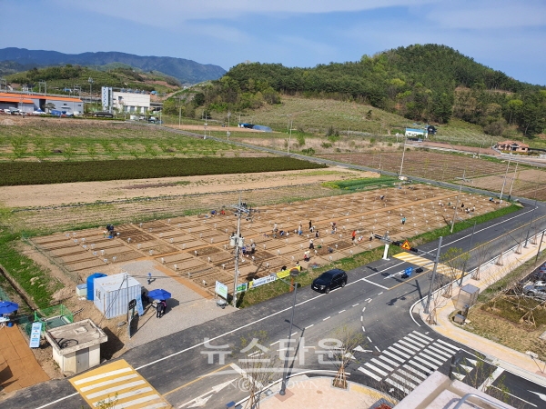 2021년 시민텃밭 전경