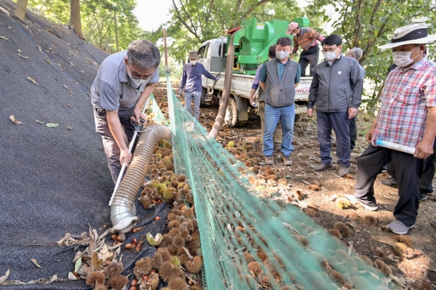 밤 수집기