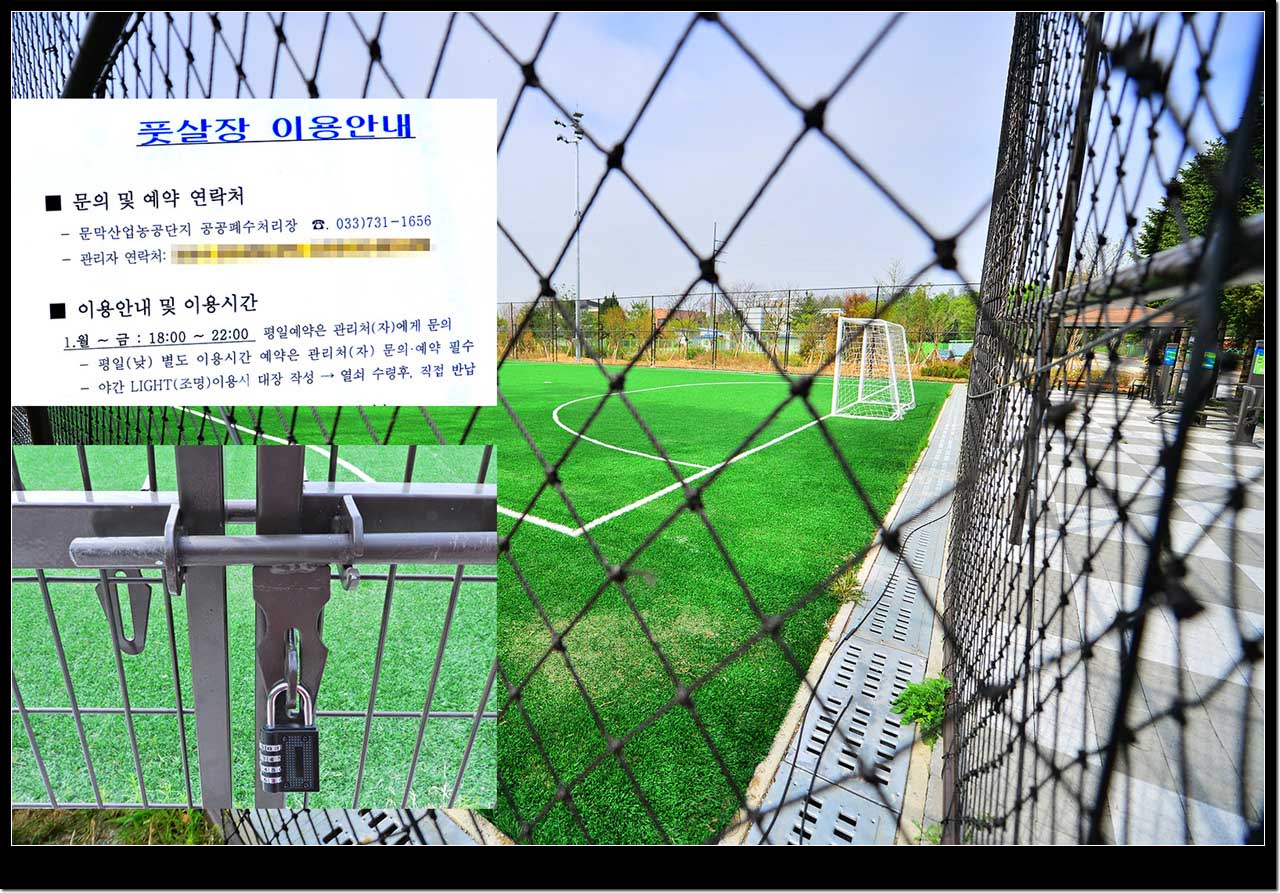 미세먼지 저감나무숲의 자료사진
