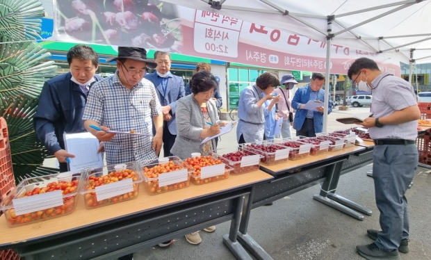 경주시가 지난 4일 경주농협본점 하나로마트에서 체리 품평회를 진행하고 있다