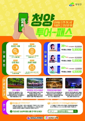 관광투어패스