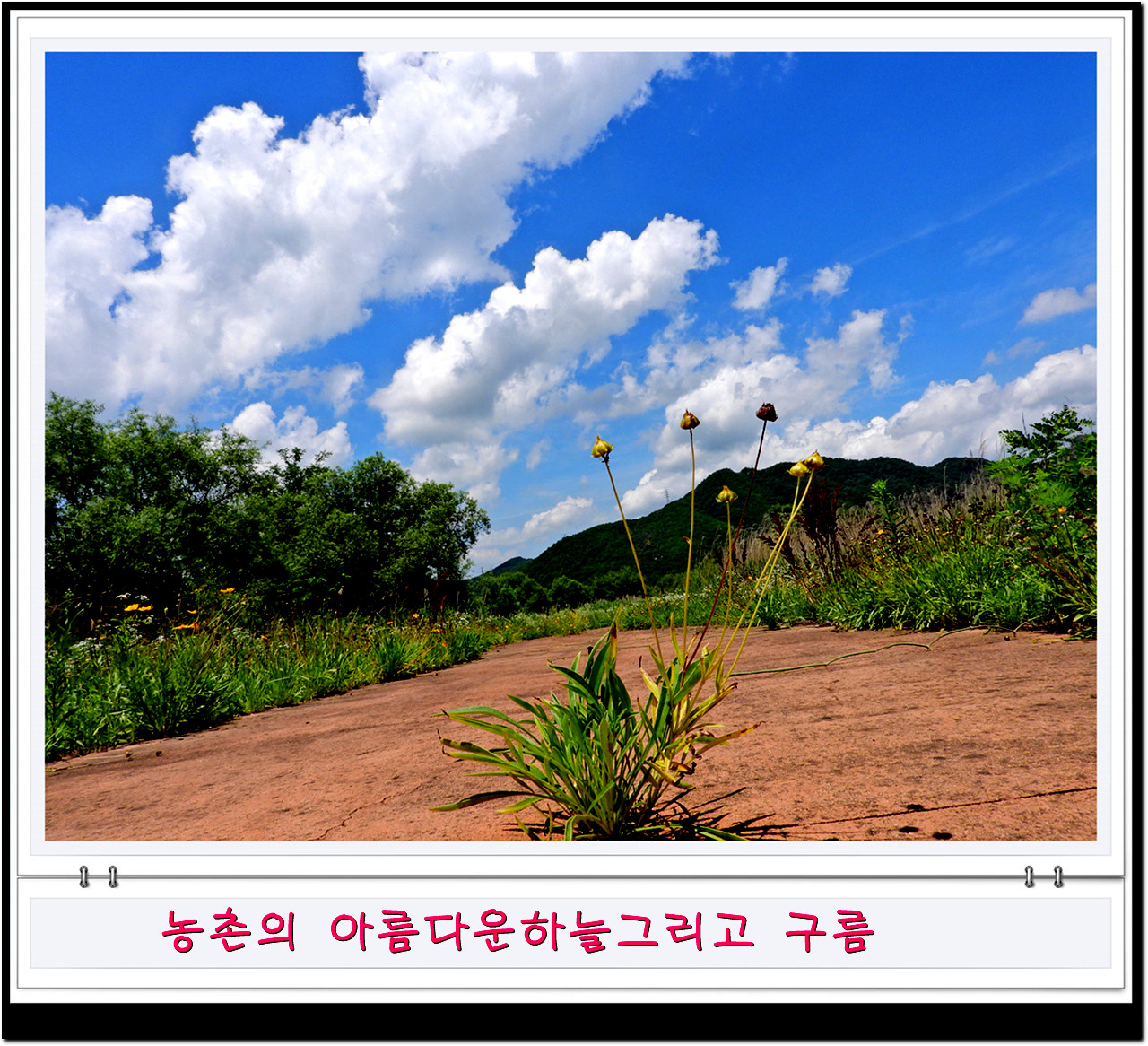 비온뒤 깔끔한 하늘과 농촌풍경비가 오고 난 뒤면 농촌의 하늘을 자랑한다.