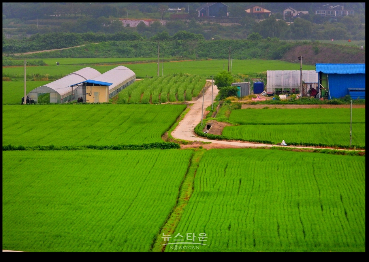 초록빛 바다, 門前沃畓 (문전옥답) , 都農마을