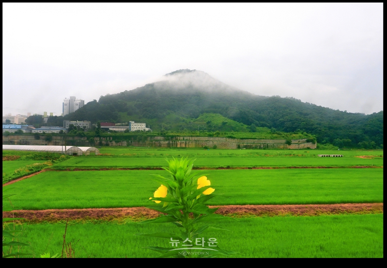 초록빛 바다, 門前沃畓 (문전옥답) , 都農마을
