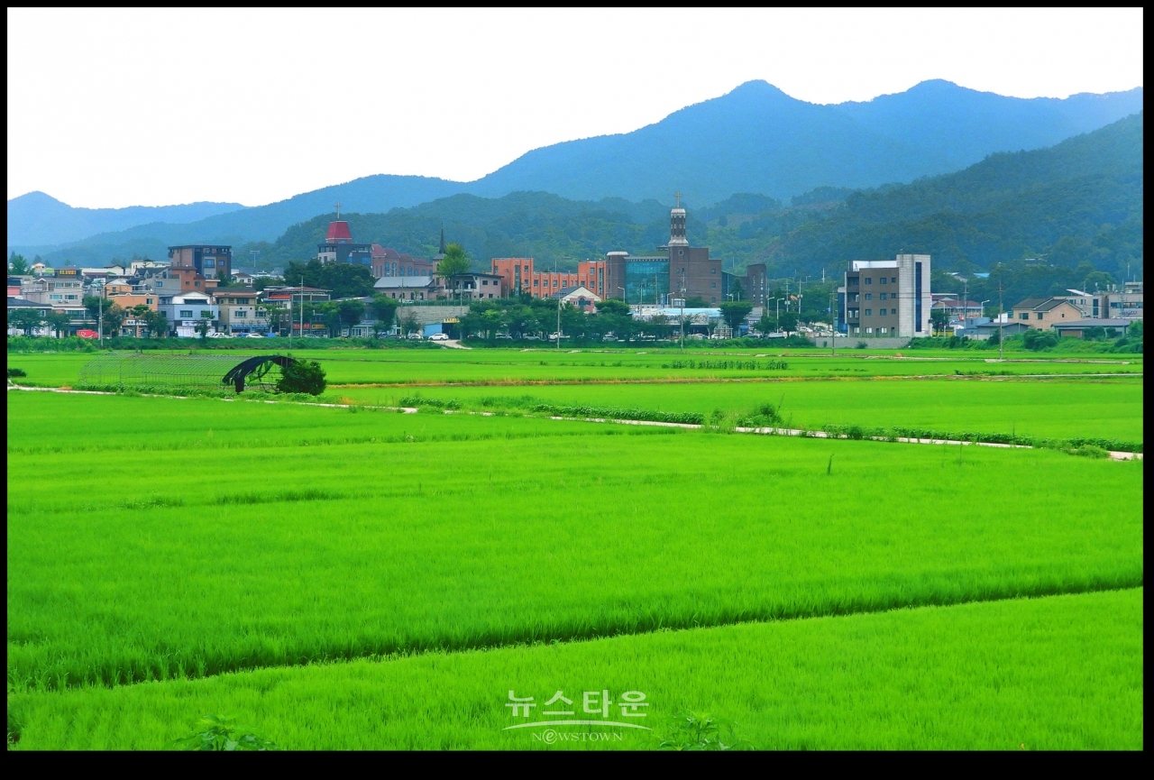 초록빛 바다, 門前沃畓 (문전옥답) , 都農마을