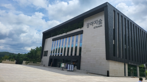 강아지 숲 전경